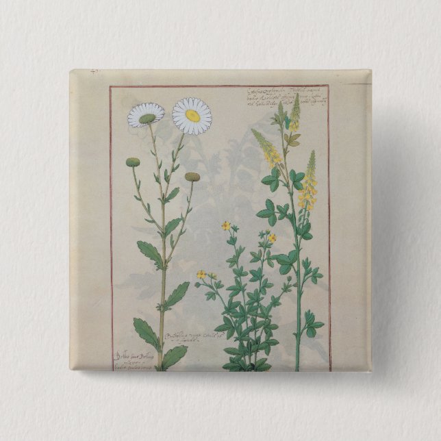 Chapa Cuadrada Ilustracion 'del libro de simple (Anverso)