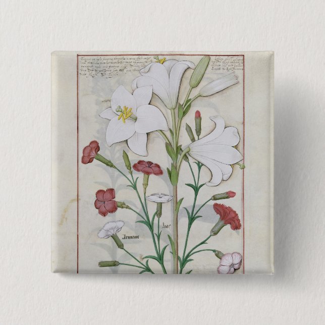 Chapa Cuadrada Ilustracion del 'libro de simple (Anverso)