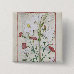 Chapa Cuadrada Ilustracion del 'libro de simple