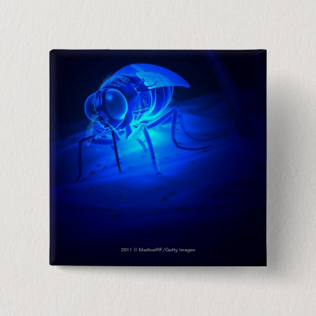 Chapa Cuadrada Ilustracion luminescente de una mosca de tsetse (Anverso)