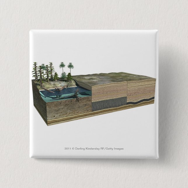 Chapa Cuadrada Ilustracion que muestra la formación de carbón (Anverso)