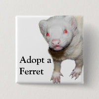 Imagen de Albino Ferret