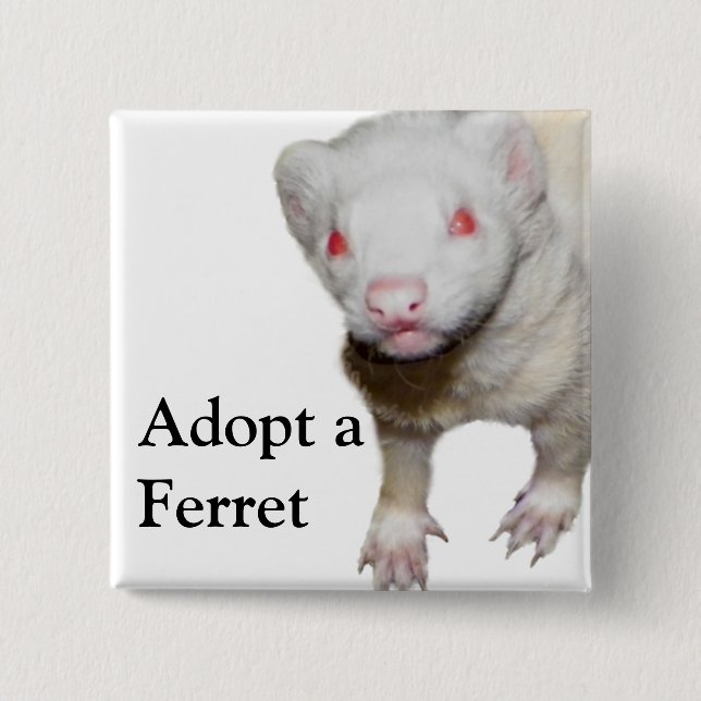 Chapa Cuadrada Imagen de Albino Ferret (Anverso)