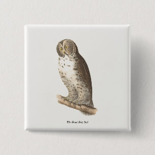 Chapa Cuadrada Imagen de pájaro de la Gran Lechuza Gris (Strix ne