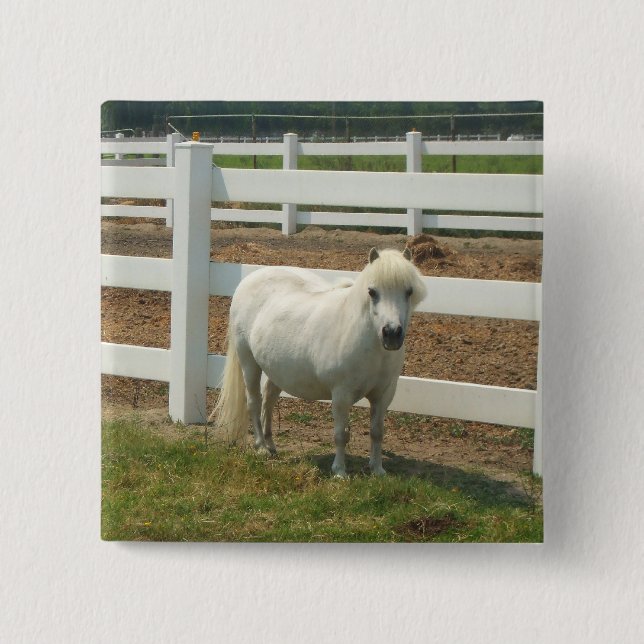 Chapa Cuadrada Imán miniatura blanco del caballo (Anverso)