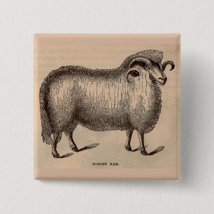 Chapa Cuadrada Impresión Dorset ram del siglo XIX
