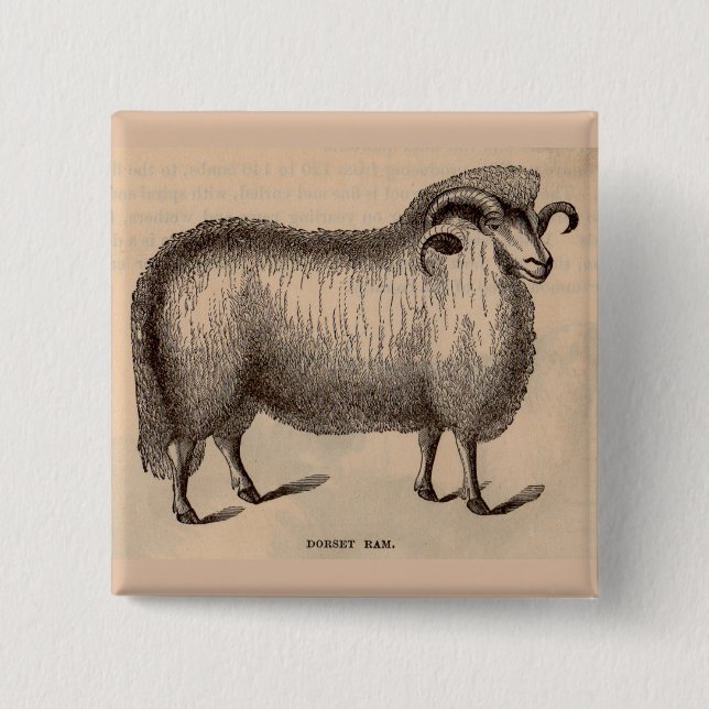 Chapa Cuadrada Impresión Dorset ram del siglo XIX (Anverso)