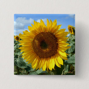 Chapa Cuadrada Insignia cuadrada del girasol