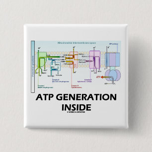Chapa Cuadrada Interior de la generación del ATP (cadena de