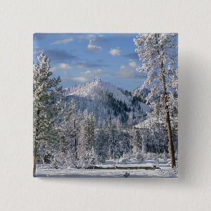 Chapa Cuadrada Invierno en el Parque Nacional Yellowstone, Wyomin