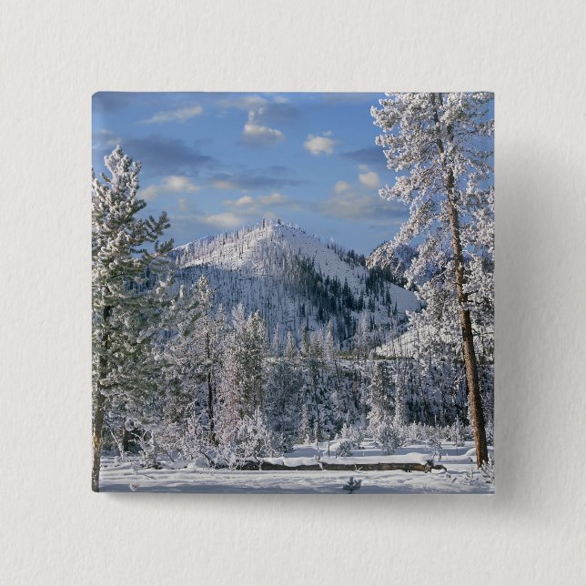 Chapa Cuadrada Invierno en el Parque Nacional Yellowstone, Wyomin (Anverso)