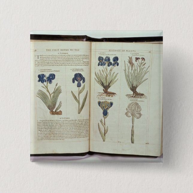 Chapa Cuadrada Iris (Anverso)