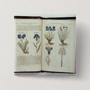 Chapa Cuadrada Iris
