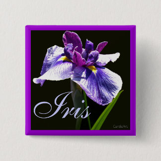 Chapa Cuadrada Iris púrpura azul gigante