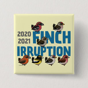 Chapa Cuadrada Irrupción de finca 2020-2021