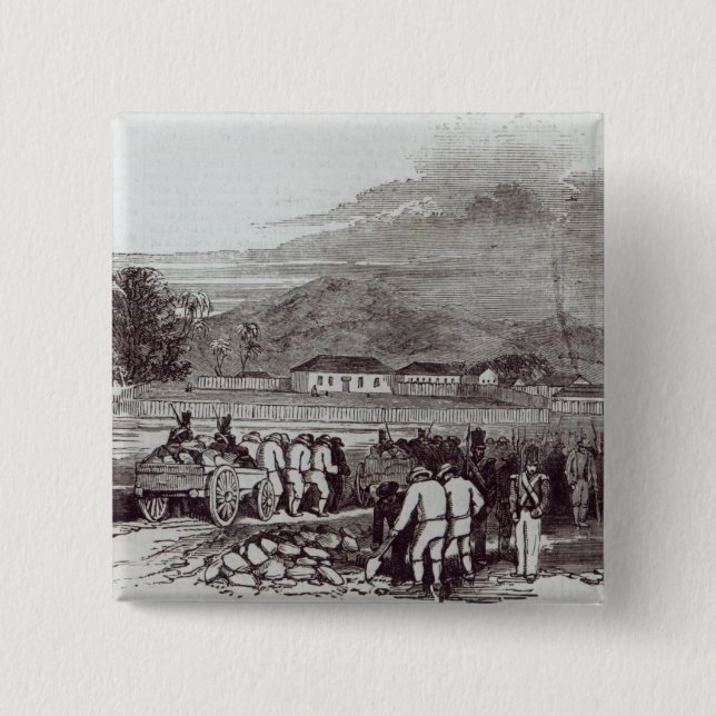 Chapa Cuadrada Isla de Norfolk (Anverso)