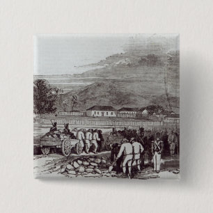 Chapa Cuadrada Isla de Norfolk