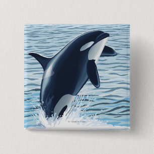 Chapa Cuadrada Isla de Whidbey, salto de WashingtonOrca