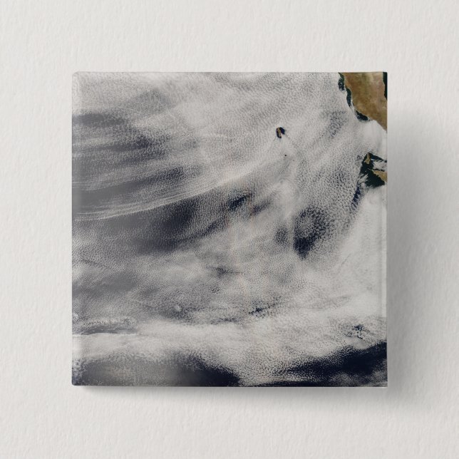 Chapa Cuadrada Isla Guadalupe (Anverso)