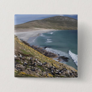 Chapa Cuadrada Islas Malvinas, West Falkland, Saunders