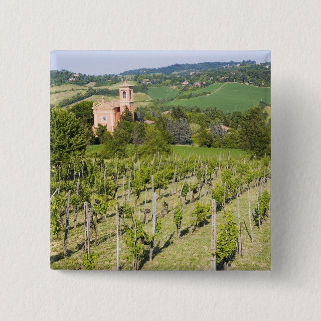 Chapa Cuadrada Italia, Bolonia, visión a través del viñedo a (Anverso)