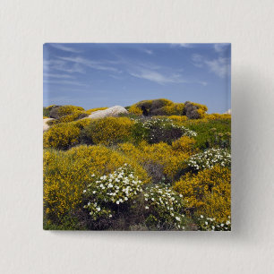 Chapa Cuadrada Italia, Cerdeña, Santa Teresa Gallura. Capo 3