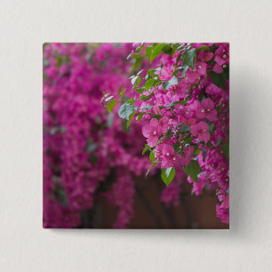 Chapa Cuadrada Italia, Sicilia, Cefalu, patio florido cerca