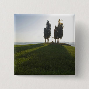 Chapa Cuadrada Italia, Toscana, Cipreses en Toscana con