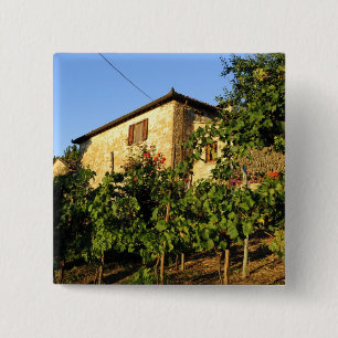 Chapa Cuadrada Italia, Toscana, Greve. Escenas de vino de verano 