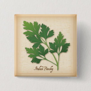 Chapa Cuadrada Italiano Parsley Herb
