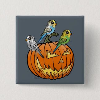 Chapa Cuadrada Jack O'Budgies