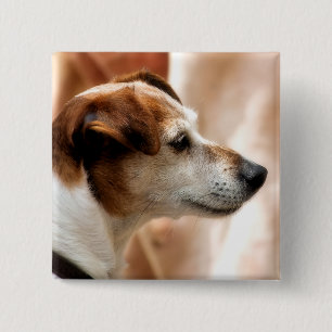 CHAPA CUADRADA JACK RUSSELL TERRIER DOG
