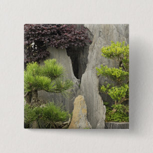 Chapa Cuadrada Jardín de la familia Bao, Huangshan, China. 2