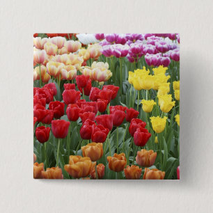 Chapa Cuadrada Jardines Keukenhof, Holanda, se especializa en 2