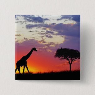 Chapa Cuadrada Jirafa silueteada al amanecer, Giraffa