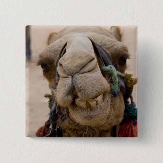 Chapa Cuadrada Jordania, antigua ciudad Nabataea de Petra (Anverso)