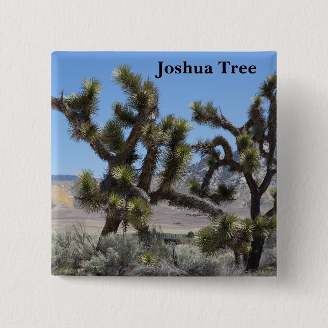 Chapa Cuadrada Joshua Tree en California (Anverso)
