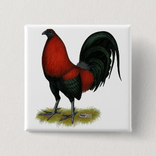 Chapa Cuadrada Juego Americano BB Gallo Rojo Negro