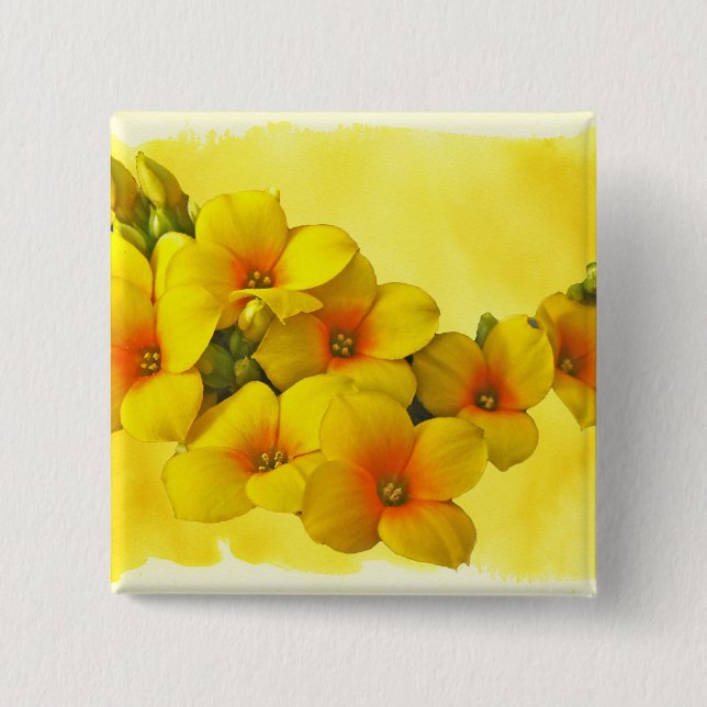 Chapa Cuadrada Kalanchoe Amarillo - Sunshine suntuoso (Anverso)