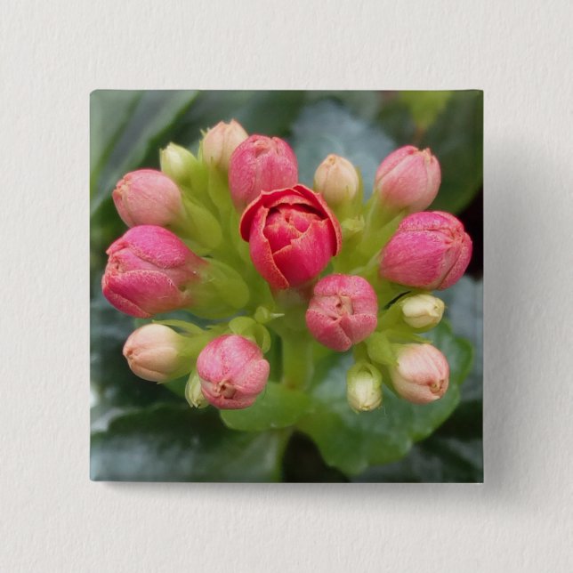 Chapa Cuadrada Kalanchoe Buds (Anverso)