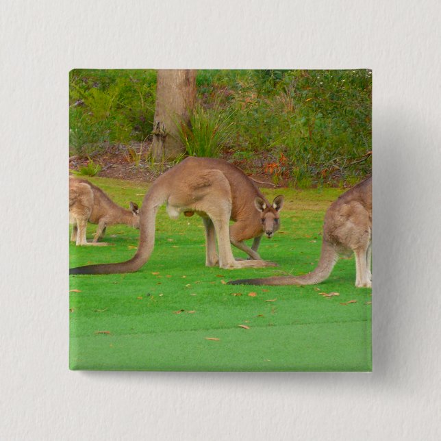 Chapa Cuadrada kanga (Anverso)