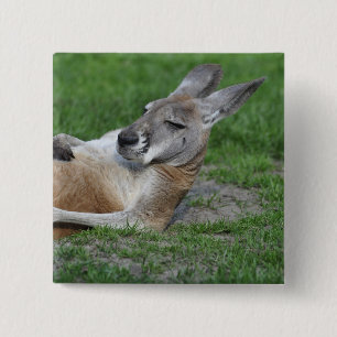 Chapa Cuadrada Kangaroo