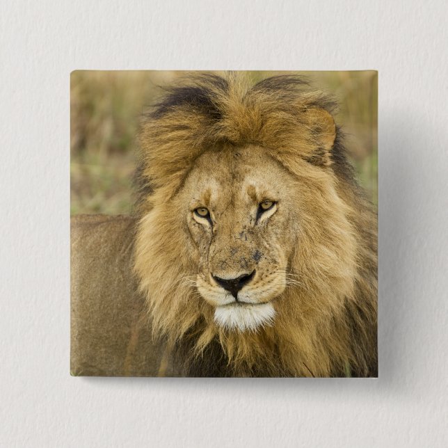 Chapa Cuadrada Kenia Masai Mara (Anverso)