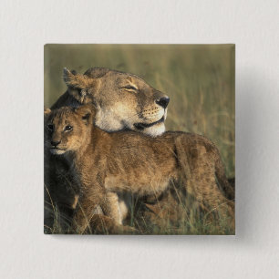 Chapa Cuadrada Kenia, Masai Mara Game Reserve, Lioness