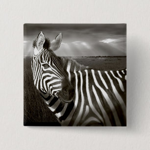 Chapa Cuadrada Kenia. Negro y blanco de cebra y liso.