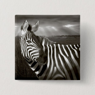 Chapa Cuadrada Kenia. Negro y blanco de cebra y liso.