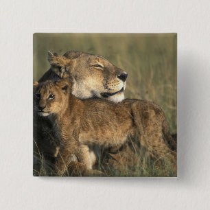 Chapa Cuadrada Kenia, Reserva de caza Masai Mara, Leona