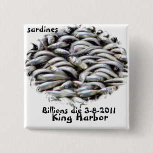 Chapa Cuadrada King Harbor-Sardines_