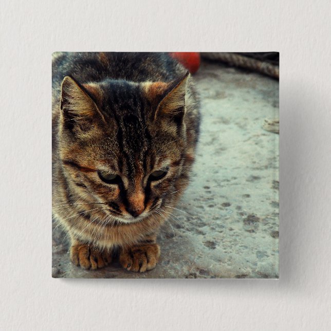 Chapa Cuadrada Kitty (Anverso)