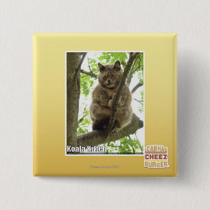 Chapa Cuadrada Koala Kitteh